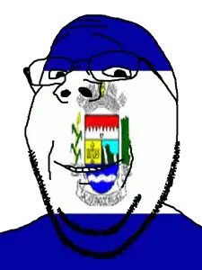 gapejak, brazil, cachoeiras de macacu, flag, glasses, municipality, open mouth, rio de janeiro, soyjak, stubble
