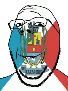 gapejak, brazil, carapebus, flag, glasses, municipality, open mouth, rio de janeiro, soyjak, stubble