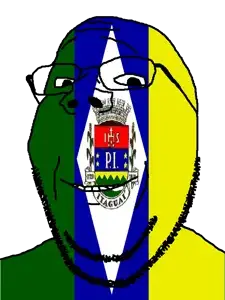 gapejak, brazil, flag, glasses, itaguaí, municipality, open mouth, rio de janeiro, soyjak, stubble