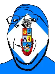 gapejak, brazil, flag, glasses, itaocara, municipality, open mouth, rio de janeiro, soyjak, stubble