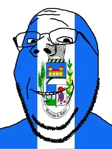 gapejak, brazil, flag, glasses, japeri, municipality, open mouth, rio de janeiro, soyjak, stubble