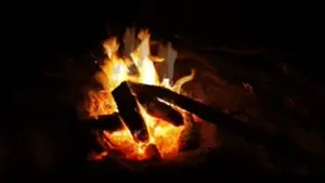 0212 (1)(1)(1)(1).mp4