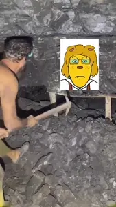 InShot_20250214_000639265.mp4