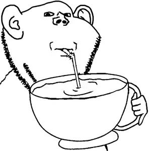 409 sin título_20250217031124.png