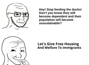 Soyjak Duck immigration.png