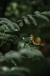 ไม่มีชื่อ 117_20250226103959.jpg