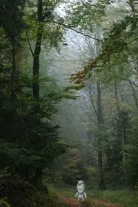 gapejak, wholesome soyjak, full body, nature, shadow