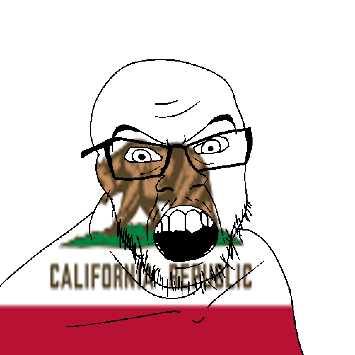 feraljak, angry, animal, bear, california, flag, glasses, hair, looking at you, mustache