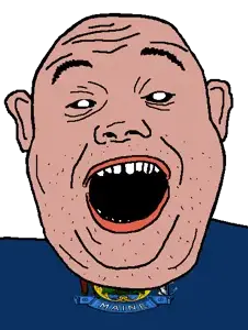 alicia, amerimutt, black sclera, blue shirt, clothes, ear, flag, maine, open mouth, soyjak