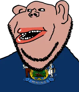 impish soyak ears, impish amerimutt, amerimutt, bald, black sclera, brown skin, clothes, ear, flag, maine