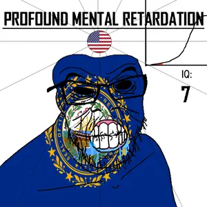 New Hampshire_Profound_retardation_US.png