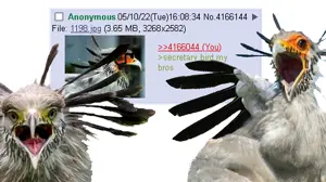 1652230663145.png