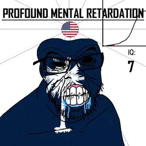 South Carolina_Profound_retardation_US.png