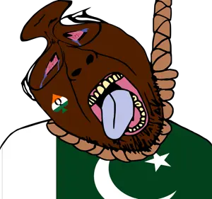 paki11.png