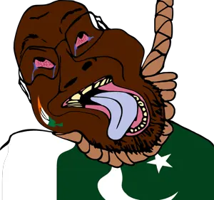 paki34.png