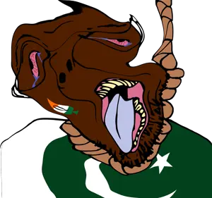 paki43.png