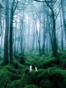 ไม่มีชื่อ 217_20250314153327.jpg