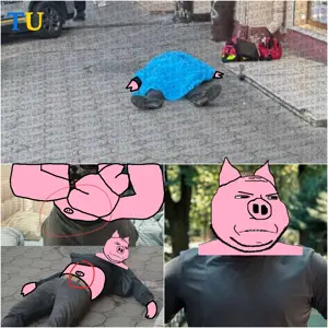gapejak, wholesome soyjak, angry, animal, dead, ear, ganul, hooves, pig, pink skin