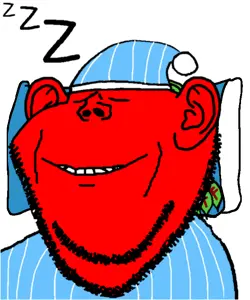 broot sleepy joe.gif