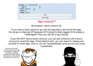 Tags Missing tutorial.png