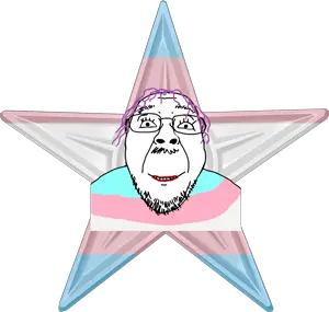 Transgender Barnstar Hires.png