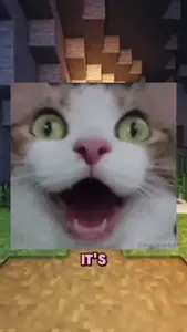 that face when it's 2032.mp4