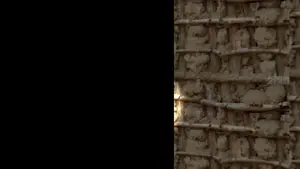 Jartycucks Basics SECRET ENDING!!! (1).mp4