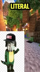 VID_20250405_042207_952.mp4