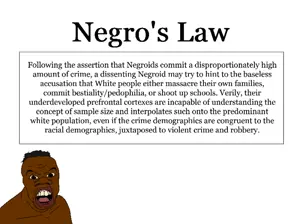 negroslaw.png