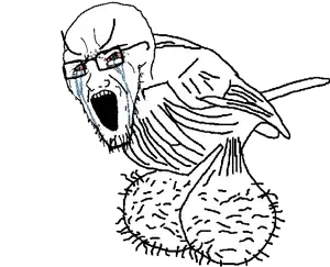 cryjak bird balls.png