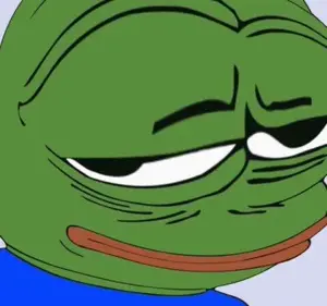 pepe, amphibian, animal, clothes, frog, green skin, looking at you, smirk, smug