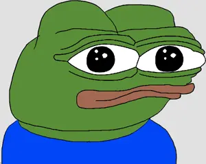 apu, pepe, amphibian, animal, clothes, frog, green skin, looking at you