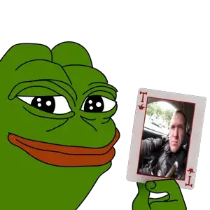 smug pepe brenton tarrant.png