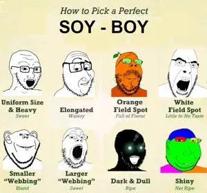 cobson, gapejak, impish soyak ears, smugjak, soyak, massjak, mustached gapejak, wholesome soyjak, colorjak, thougher