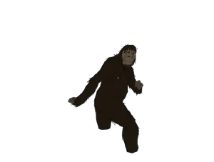 patterson.gimlin0-b5b6c02e5056a36_b5b6c19f-5056-a36a-096e6e95925c7427 (6).png