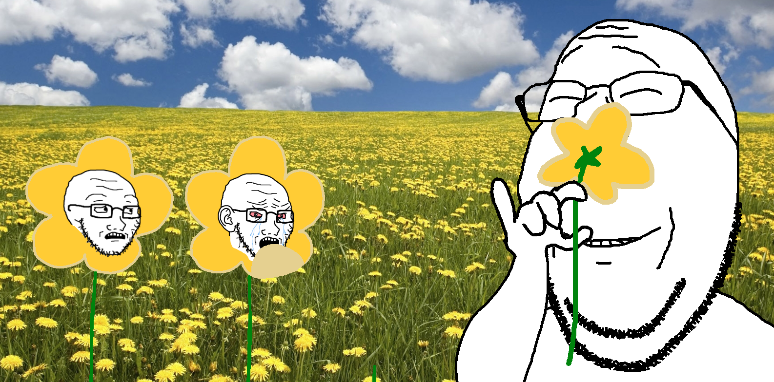 gapejak, soyak, wholesome soyjak, 3soyjaks, bloodshot eyes, calm, closed eyes, concerned, flower, flowers