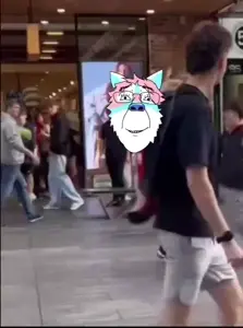 bernd, chudjak, trannyfur, animated, anthro, furry, kick, sound, video