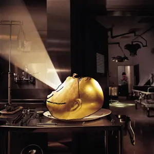 gapejak, gapejak side, album cover, deloused in the comatorium, glasses, head, hospital, irl background, light, music