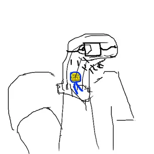 1746786228428p.png