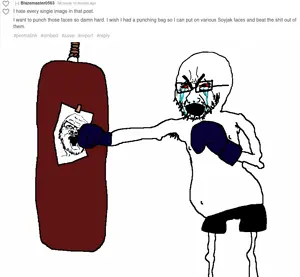 punching bag soy.png