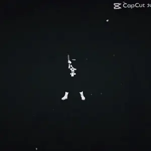 meximutt, animated, capcut, fat, phonk, stinky, tranny, ugly, video, warrior-z