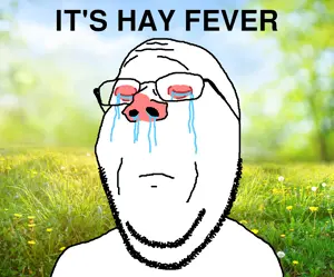 hay fever.png