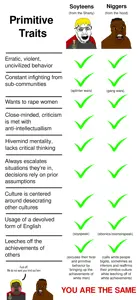 Soyniggers.png