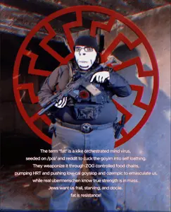 resistance fighter.gif