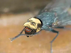 le happy merchant mosquito.gif