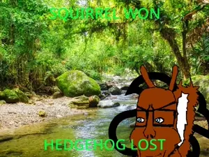 squirrelchad (1).mp4