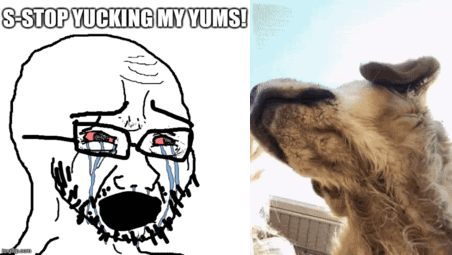 cryboy soyjak, animal, animated, bloodshot eyes, bushy eyebrows, crying, discord dog, dog, dog ear, ear
