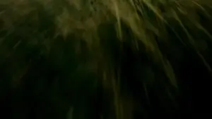 bane, animated, baneposting, earth, grass, moon, music, plane, planet, sky