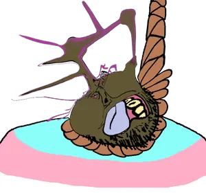 55.png