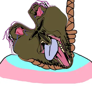 59.png